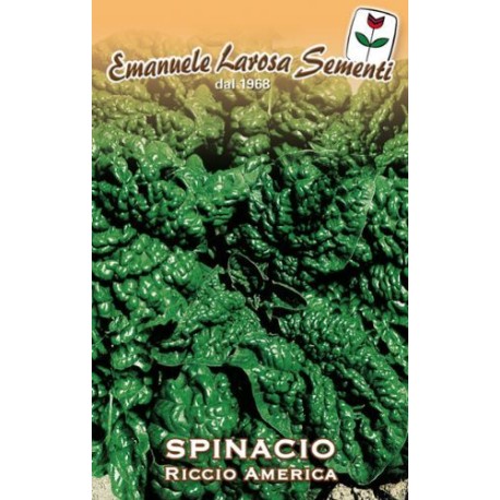 6 pezzi-CONIGLIO-foglio 54cm /"Natural-Touch/" ga-foglio artificiale