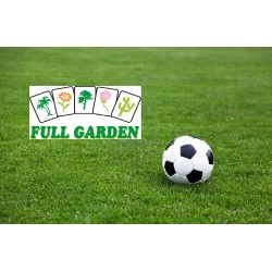 TAPPETO MISCUGLIO PRATO SPORTIVO KG 1