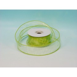 Nastro Organza 25yds X 5cm Light Green