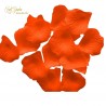 Bag 100 Petali Orange
