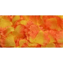 BAG 100 PETALI GIALLO/ARANCIO GRANDI