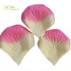 Bag 100 Petali Crema/fuxia Grandi
