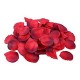 BAG 100 PETALI ROSSO/BORDEAUX GRANDI
