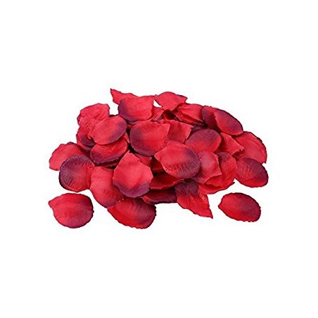 BAG 100 PETALI ROSSO/BORDEAUX GRANDI