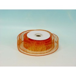 Nastro Organza 25yds X 5cm Peach