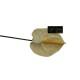 ANTHURIUM  CM.70 CREMA