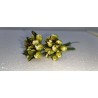Bocciolo Mini Papavero C/foglia Pz.12 Yellow