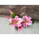 LILIUM LUSSO PINK