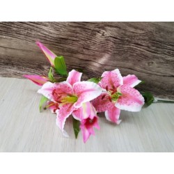 Lilium Lusso Pink