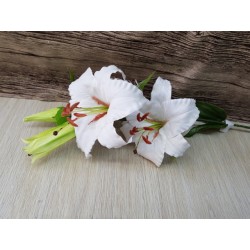 LILIUM LUSSO CREAM