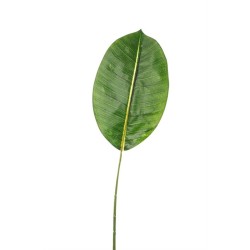 Foglia Ficus Natural Touch