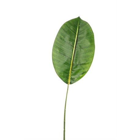 FOGLIA FICUS NATURAL TOUCH