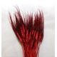 °°°GRANO BAFFO ROSSO GLITTER 100PZ