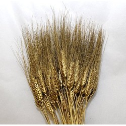 °°°grano Baffo Oro Glitter 100pz