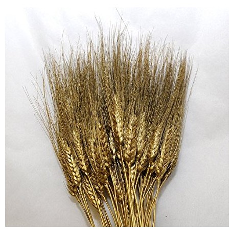 °°°GRANO BAFFO ORO GLITTER 100PZ