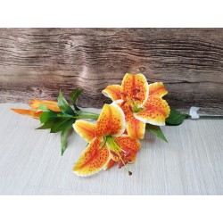 Lilium Lusso Orange