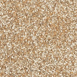 GLITTER POLVERE CHAMPAGNE KG.1