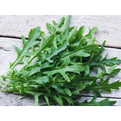 Rucola Selvatica Gr.10(semi)