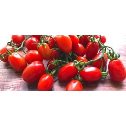 Pomodoro Datterino (semi)