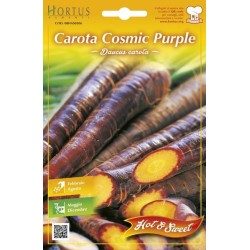 Carota Cosmic Purple Gr.0,20