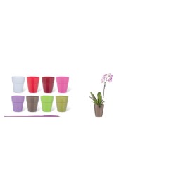 °°°vaso Saint Tropez Cm.24,5x28 Flirt