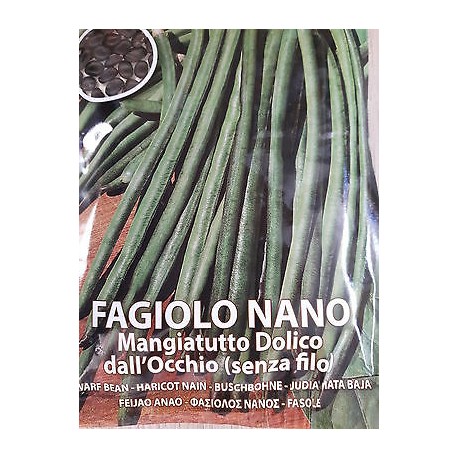 FAGIOLO NANO DOLICO SEME NERO GR.100  (SEMI)