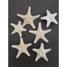 Stelle Corazz. Bianche 2-3" 10pz