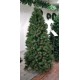 ALBERO MINNESOTA CM.180 TIPS 950