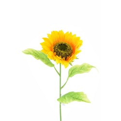 Girasole Singolo  Yellow 13350