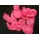 BAG 100 PETALI FUXIA