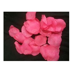 BAG 100 PETALI FUXIA