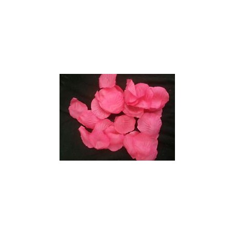 BAG 100 PETALI FUXIA