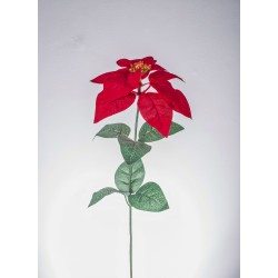 Poinsettia Singola Red