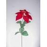 Poinsettia Singola Red