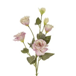 Lisianthus Spray Cm 80 - Pink Ng006