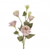LISIANTHUS SPRAY CM 80 - PINK NG006