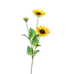 Girasolino X 3 Floccato Yellow