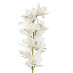 Ramo Orchidea 115cm White