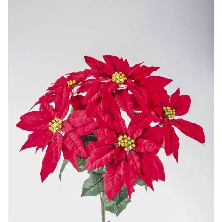 BUSH POINSETTIA X 5 RED