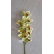 RAMO ORCHIDEA X 8 FIORI - GREEN