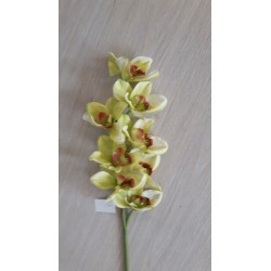 Ramo Orchidea X 8 Fiori - Green