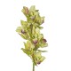 ORCHID STEM 115 CM - GREEN