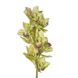 ORCHID STEM 115 CM - GREEN