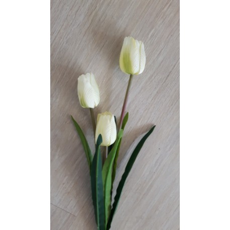 TULIP SPRAY X 3 50 CM - CREAM SAME