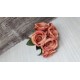 BUST ROSA NOELIA X7 RUST