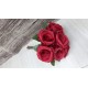 BUST ROSA NOELIA X7 RED