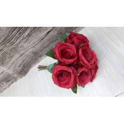 Bust Rosa Noelia X7 Red