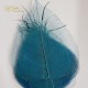 °°°FOGLIE SCHELETRINE PZ.50 AZZURRE