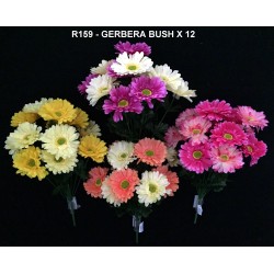 GERBERA BUSH X 12