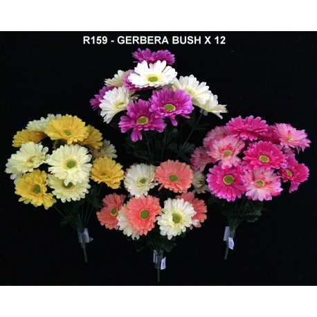 GERBERA BUSH X 12